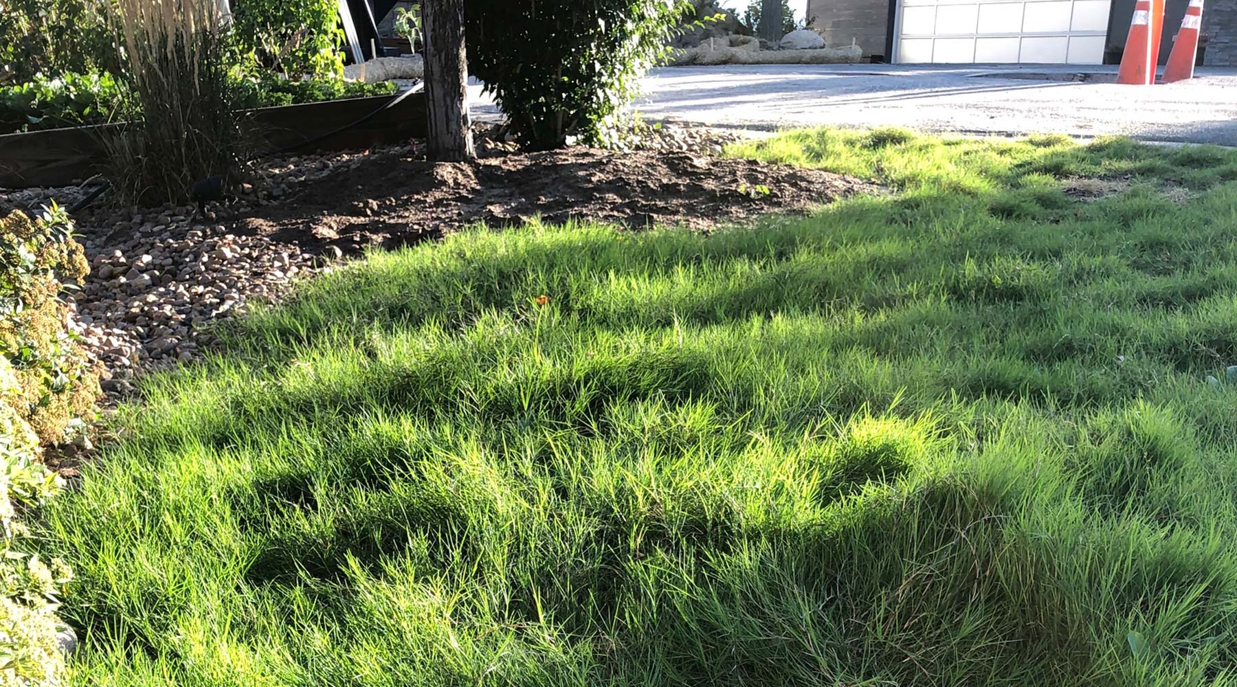 Landscaped yard with green lawn